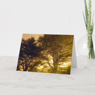 skog av raserina kort