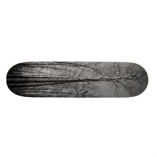 Skog av träd skateboard bräda 21,5 cm