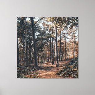 Skog för att dämpa naturfenor canvastryck