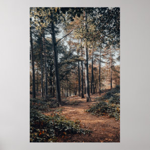 Skog för att dämpa naturfenor poster