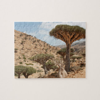 Skog för drakeblodträd, Socotraö, Yemen Pussel