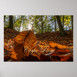 Skog för färglöst löv av personlig Carpe Diem Poster
