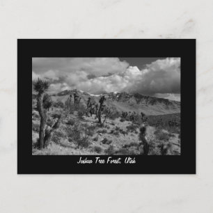 Skog för Joshua träd, Utah Vykort