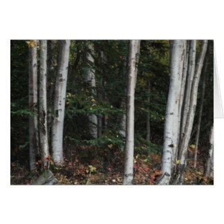 Skog för Träd av Logan Guinn Hälsningskort