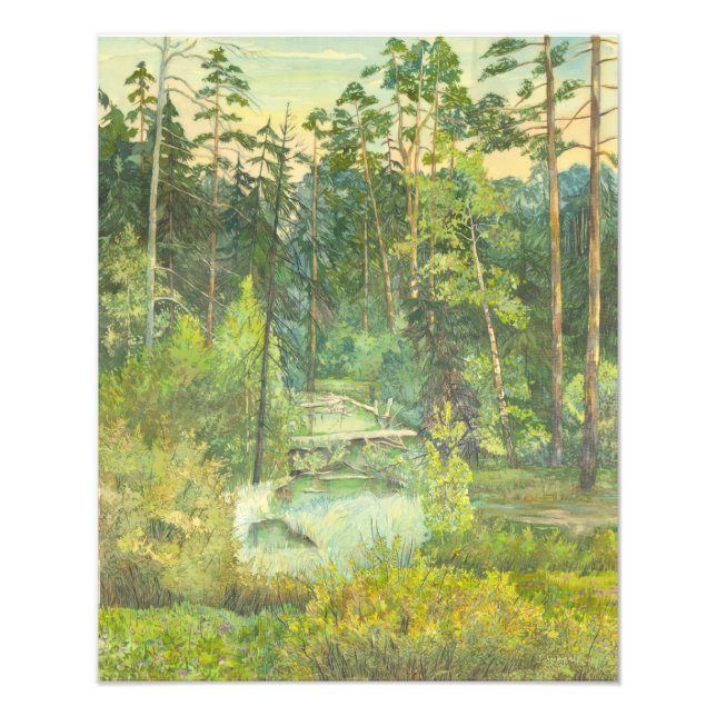 skog fototryck (Framsidan)