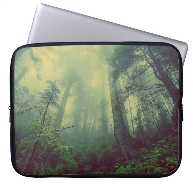 Skog från nedan laptop fodral (Framsidan)