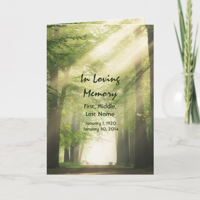 Skog i Anpassningsbarna Woodland i det allmänna pr Program (Framsida)