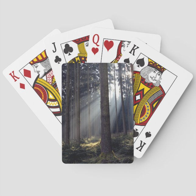Skog i Bayern Casinokort (Baksidan)
