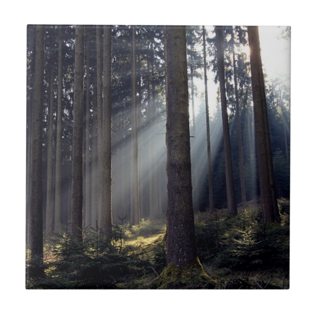 Skog i Bayern Kakelplatta (Framsidan)