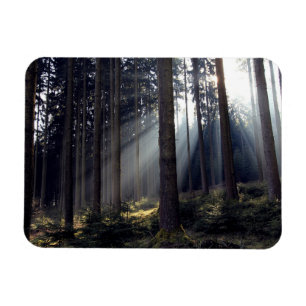 Skog i Bayern Magnet