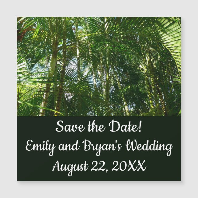 Skog i den tropiska naturen Handflatan Träd (Framsida)