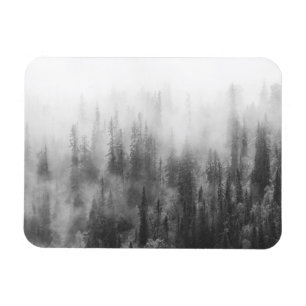 Skog i dimma magnet