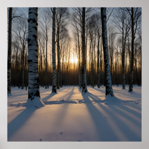 Skog i Dusk, täckt av snö Poster