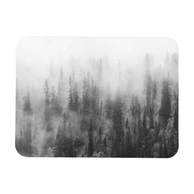 Skog i Fog Magnet (Horisontell)