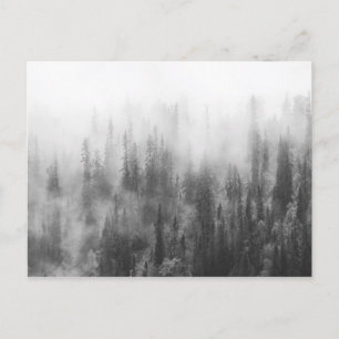 Skog i Fog Vykort