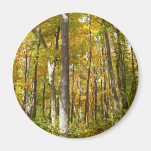 Skog i Gult Lövs höstlandskap Magnet