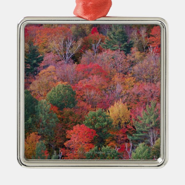Skog i höst med nedgånglövverk.  Algonquin Julgransprydnad Metall (Framsidan)