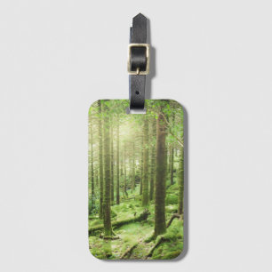 Skog i Killarney nationalpark   Kerry, Irland Bagagebricka