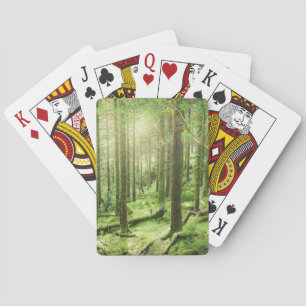 Skog i Killarney nationalpark   Kerry, Irland Casinokort