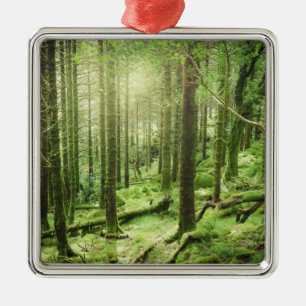 Skog i Killarney nationalpark   Kerry, Irland Julgransprydnad Metall