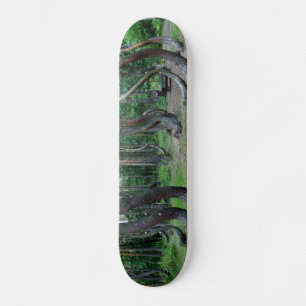 Skog i kronor - Polen Mini Skateboard Bräda 18,5 Cm