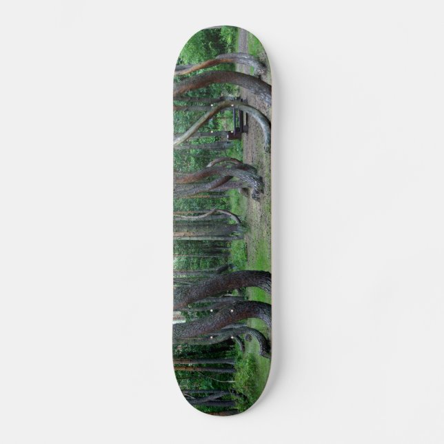 Skog i kronor - Polen Mini Skateboard Bräda 18,5 Cm (Framsida)