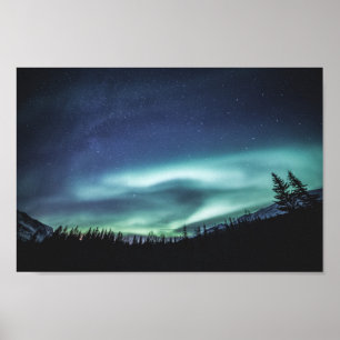 Skog i norra Ljus Poster