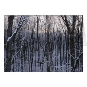 Skog i Snowy Träd Hälsningskort