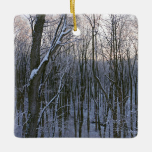 Skog i Snowy Träd Julgransprydnad Keramik