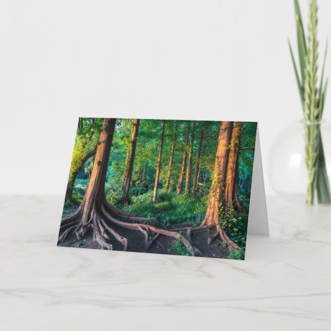 Skog i sommar kort (Framsida)