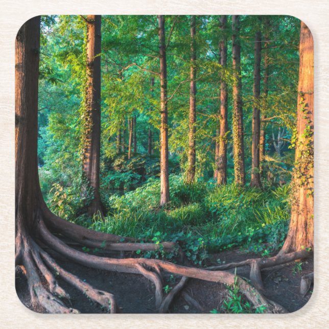 Skog i sommar underlägg papper kvadrat (Framsidan)