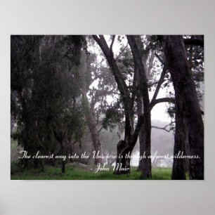 Skog i Träd i Mist Muir Quote Poster