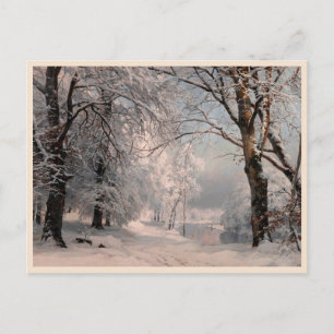Skog i vinter vykort