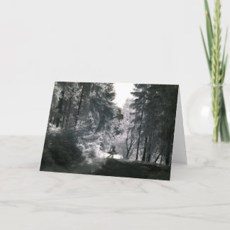 Skog långt/infraröd fotografi kort
