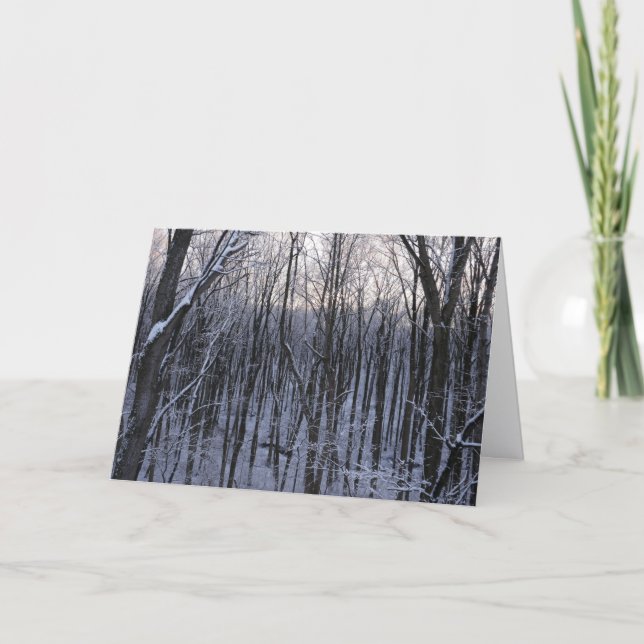 Skog med snötäckta träd kort (Framsida)