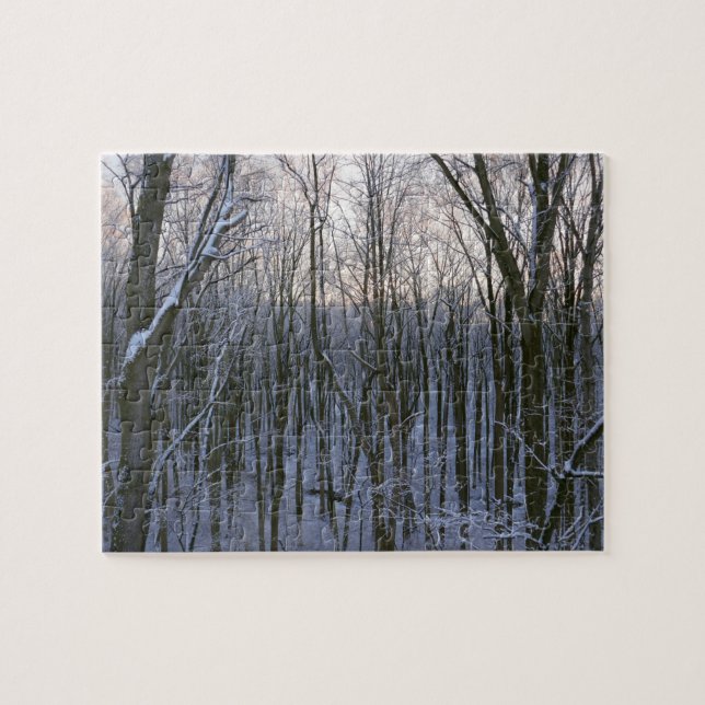 Skog med snötäckta träd pussel (Horisontell)