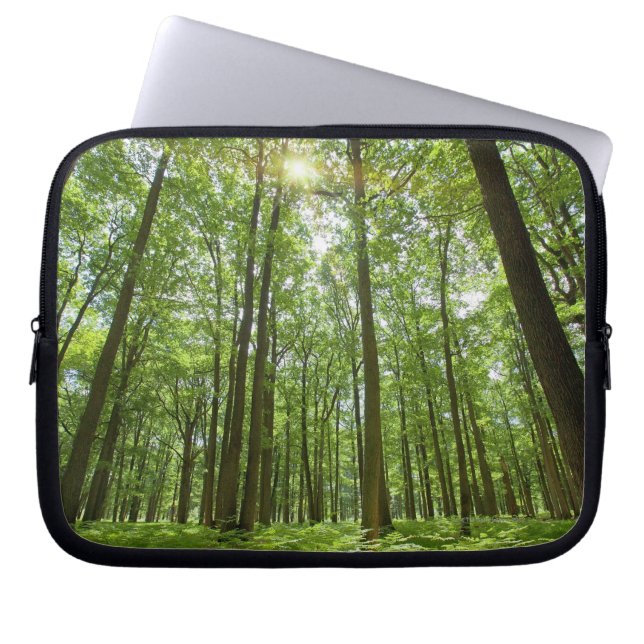 Skog med solen bakom laptop sleeve (Framsidan)