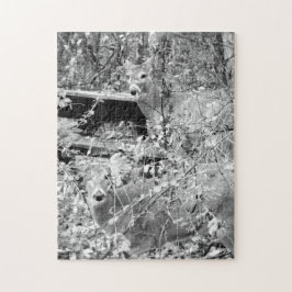 Skog med Whitetail Hjort Puzzle Pussel