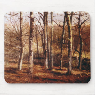 Skog Musmatta