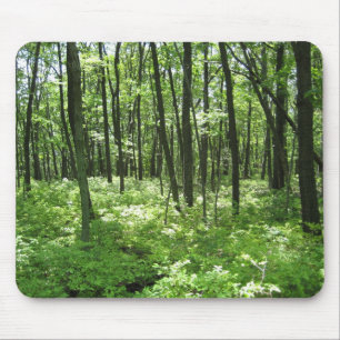Skog Musmatta