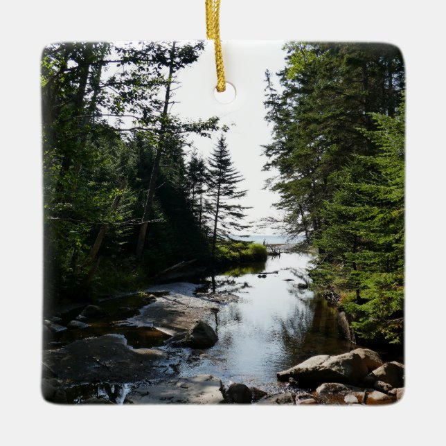 Skog nära Hunters Beach Julgransprydnad Keramik (Framsida)