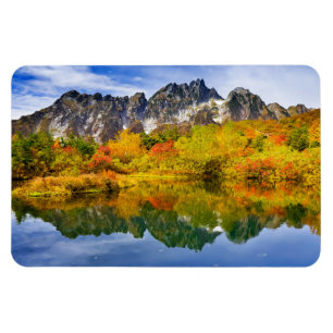 Skog och berg i det scena landskapet magnet