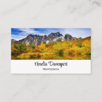 Skog och berg i det scena landskapet
