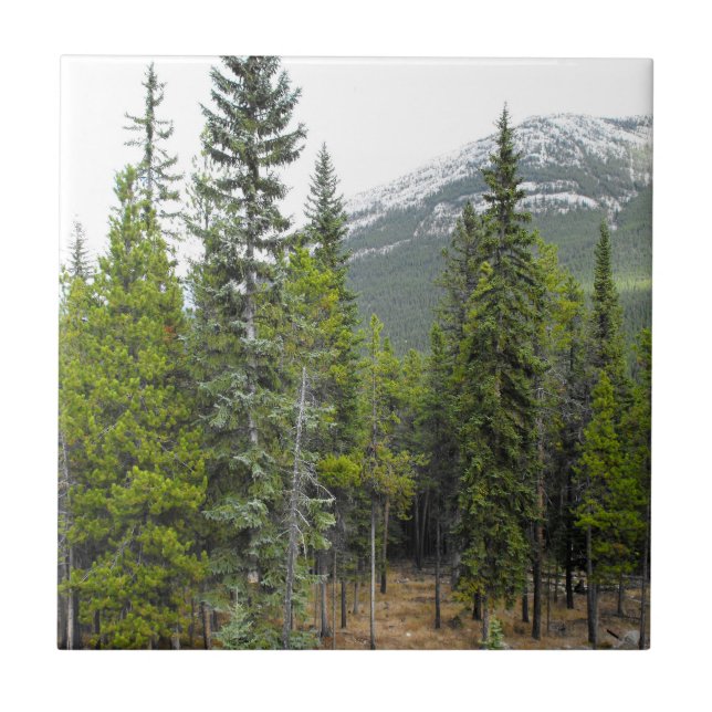 Skog- och bergplatsfotoet belägger med tegel kakelplatta (Framsidan)