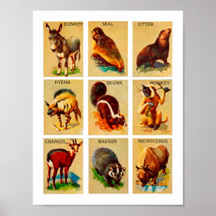 Skog och djungel Animals Natature Wildlife Art Poster
