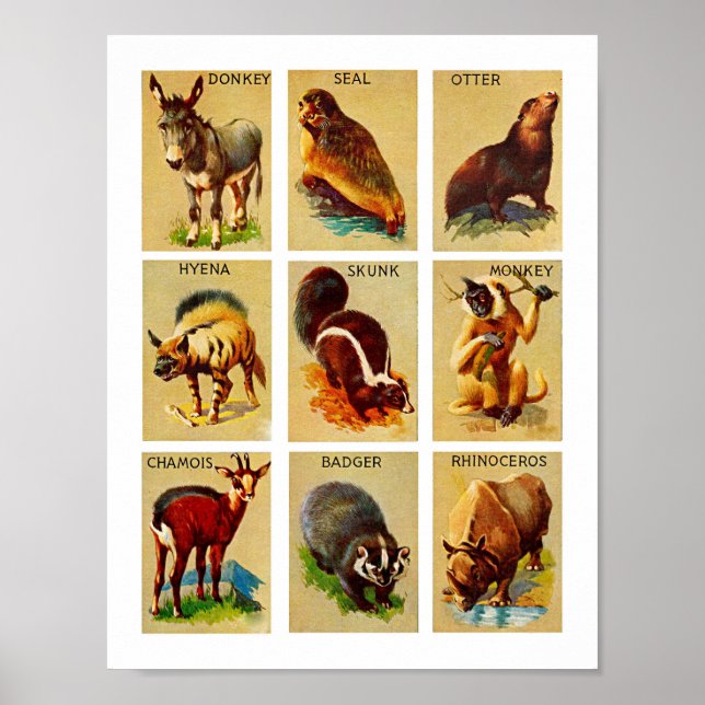 Skog och djungel Animals Natature Wildlife Art Poster (Framsidan)