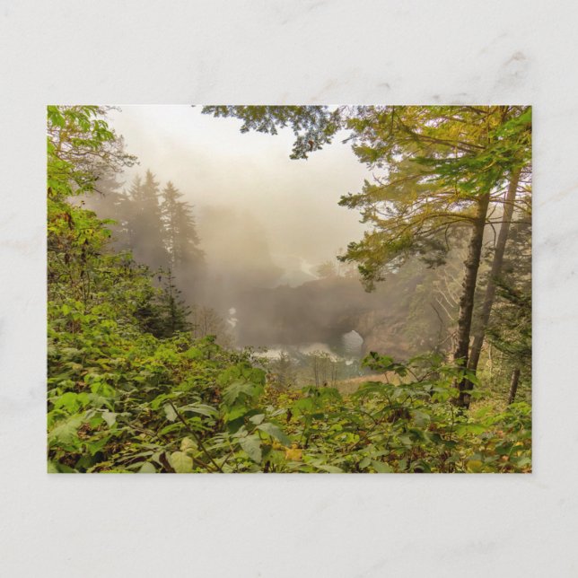 Skog och havslandskap vykort (Framsida)