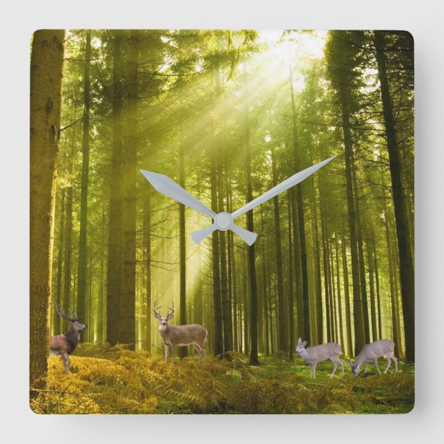 Skog och Hjort för Square-Wall-Clock Fyrkantig Klocka (Framsida)