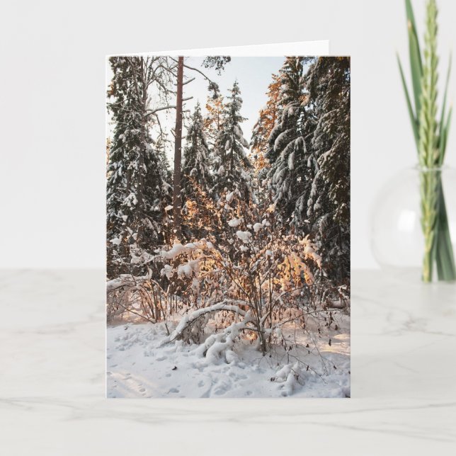 Skog på vintern helgkort (Framsida)