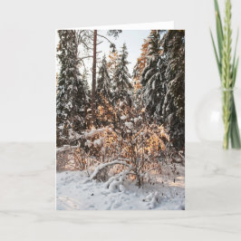 Skog på vintern helgkort